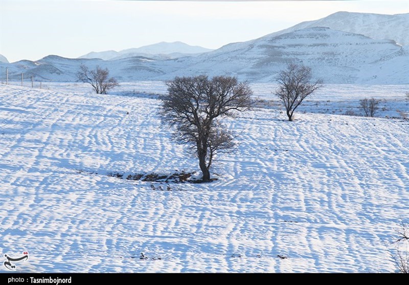 خوش‌نشینی «برف و آفتاب» در طبیعت بجنورد به روایت تصاویر