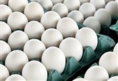 یک مقام مسئول: برای خرید تخم مرغ به قیمت مصوب به تهرانپارس بروید