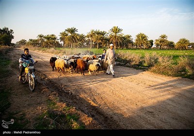 روستای علوه در فاصله 15 کیلومتری کوت عبدالله ، مرکز شهرستان کارون واقع شده است و در حال تبدیل شدن به یکی از کانون های گردشگری منطقه می باشد.روستای علوه دارای نخلستان های فراوان و باغات چای ترش است.این روستا کمترین خسارت را در سیل سال ۹۸بخود دید.علوه در زبان عربی به معنای “مکان مرتفع” می باشد.