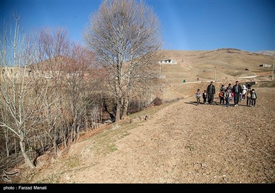 در جستجوی اینترنت برای شاد - کرمانشاه