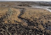 پاکسازی آلودگی نفتی در سواحل کنگان نیازمند همکاری همگانی است