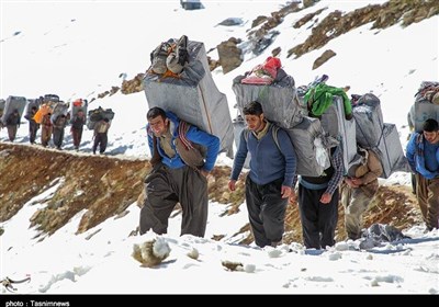 ساعتی همراه با کولبران در کوهستانهای کردستان / اینجا قلب انسان از ترس و دلهره میایستد+ فیلم