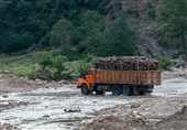 کامیون 5 تن چوب قاچاق در طالقان توقیف شد
