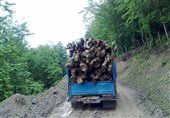 گزارش|قاچاق چوب &quot;بلوط و بید&quot; در کردستان / سوداگران به جان جنگل‌های زاگرس افتاده‌اند
