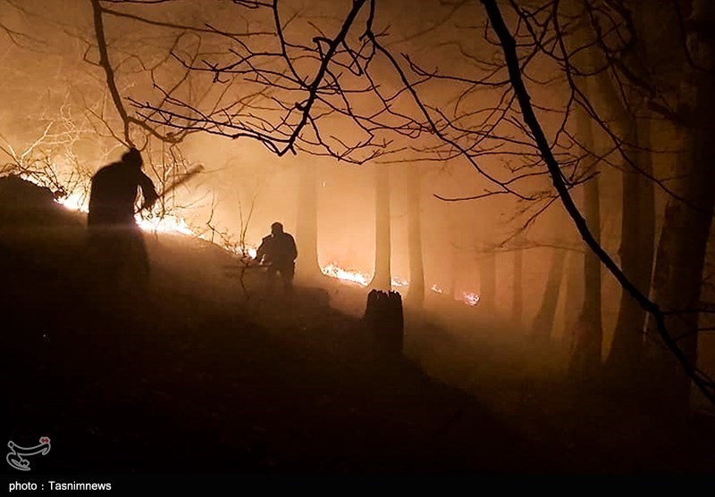 آتش‌سوزی 140 هکتار از جنگل‌های گیلان را درگیر کرد