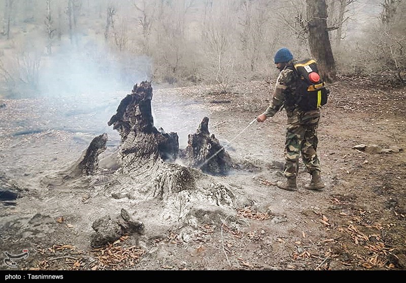 آتش‌سوزی ‌15 هکتار از جنگل‌های آغوزبن رودبار/ آسیب جدی به درختان نرسید + تصویر