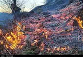 بیش از یک هکتار از اراضی منابع طبیعی راین در آتش سوخت