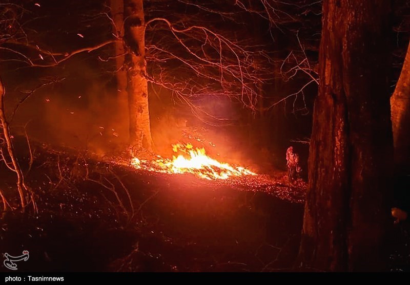 آتش‌سوزی 13 ساعته در جنگل‌های آغوزبن رودبار/ آتش 8 هکتار را فرا گرفت + فیلم