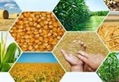 پرداخت 1350 میلیارد تسهیلات ارزان قیمت اشتغال بخش کشاورزی در سیستان