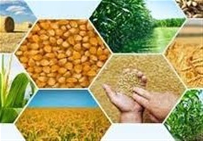 سرمایه‌گذاری 9925 میلیاردی در زیربخش‌های کشاورزی سیستان و بلوچستانی