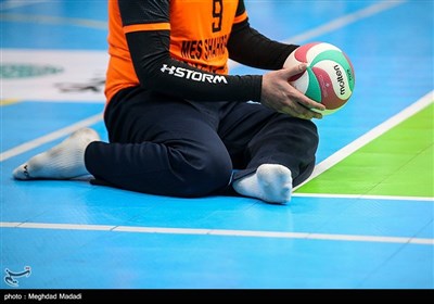 گلایه مربی تیم والیبال نشسته ورامین از بیتوجهی مسئولان/ کمبود منابع مالی را دلیل انحلال تیم مطرح میکنند