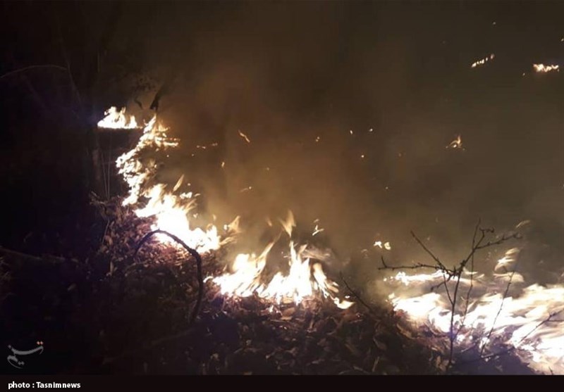 ادامه آتش‌سوزی در پارک ملی گلستان/ اعزام 2 بالگرد برای اطفای حریق+تصاویر