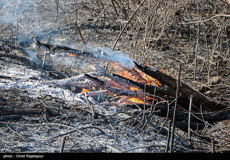 خشکسالی و احتمال افزایش آتش‌سوزی در مراتع بروجرد؛ اکیپ‌های 24 ساعته اطفاء حریق تشکیل شد