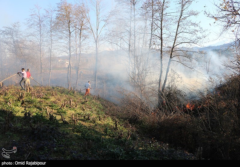 آتش‌سوزی اراضی جنگلی جمهوری آذربایجان در مرز آستارا مهار شد