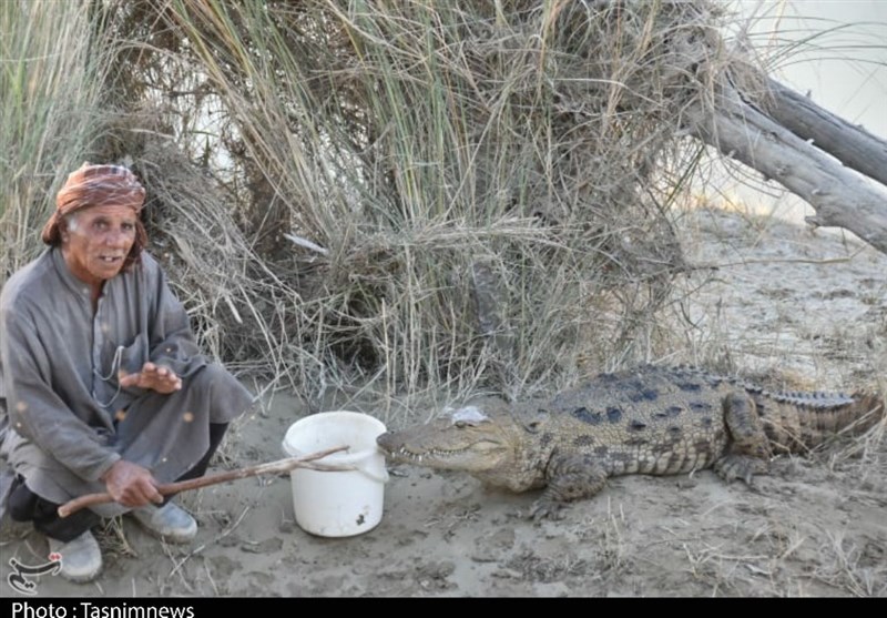 استان سیستان و بلوچستان , پایش و نظارت در محیط زیست , 