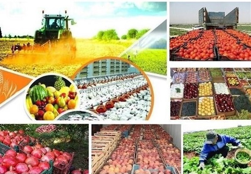 فرماندار آران و بیدگل: راه‌اندازی «روستا بازار» جهت عرضه وفروش تولیدات کشاورزی ضرورت دارد