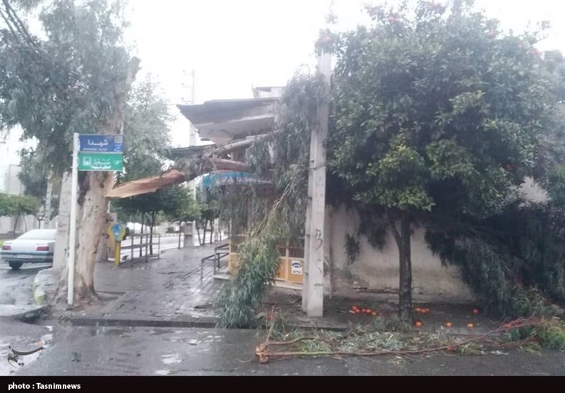 خسارت طوفان به شیراز؛ از آلودگی هوا تا آسیب به 200 درخت