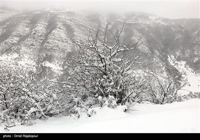 بارش برف سنگین در اشکورات رحیم آباد گیلان