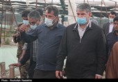 جبران خسارت سرمازدگی محصولات کشاورزی در مجلس پیگیری میشود