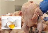 واکنش فعالان مرغ و تخم‌مرغ به حذف دلار 4200|موافقان:گران می‌شود ولی مردم مجبورند بخرند/مخالفان:مرغ هم مثل گوشت از سفره می‌پرد