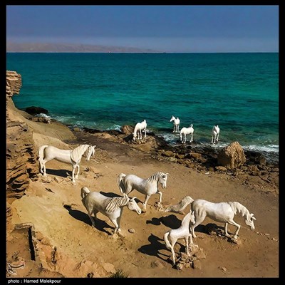 ساحل خلیج فارس