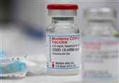 Pregnant Women Should Not Take Moderna COVID-19 Vaccine, WHO Warns