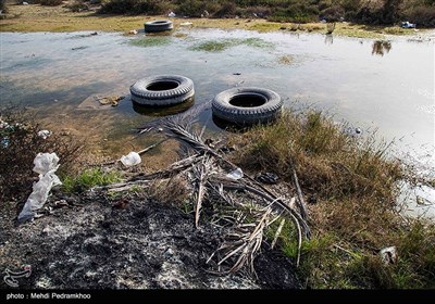  مرگ تدریجی "ونیز" ایران / آلودگی زیست محیطی در تالاب شادگان /کوه‌های پسماند در دل تالاب ‌+ تصاویر 