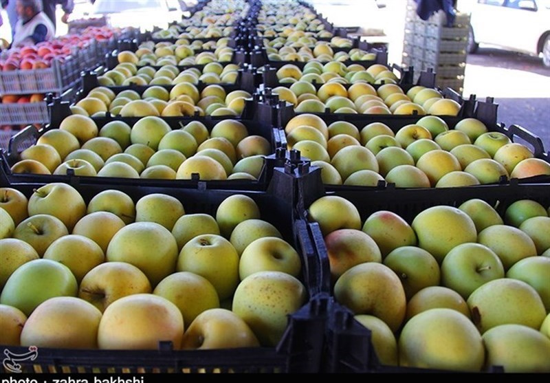 عرضه مستقیم سیب در استان های مصرف کننده برای کاهش قیمت‌ها