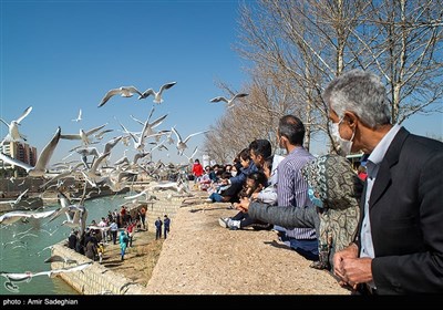 میهمانان ناخوانده زمستان شیراز