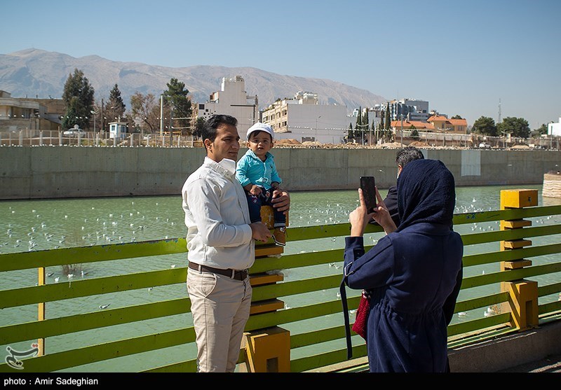 میهمانان ناخوانده زمستان شیراز