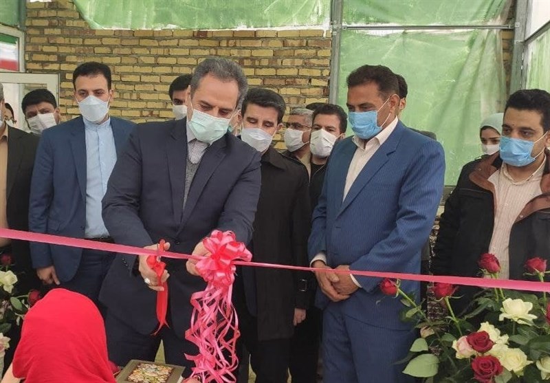 طرح‌های گلخانه‌ای با حضور وزیر کشاورزی در کرمانشاه افتتاح شد