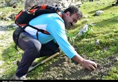 کوهنوردان بهبهانی با کاشت نهال ارتفاعات زاگرس را احیا می‌کنند + تصاویر