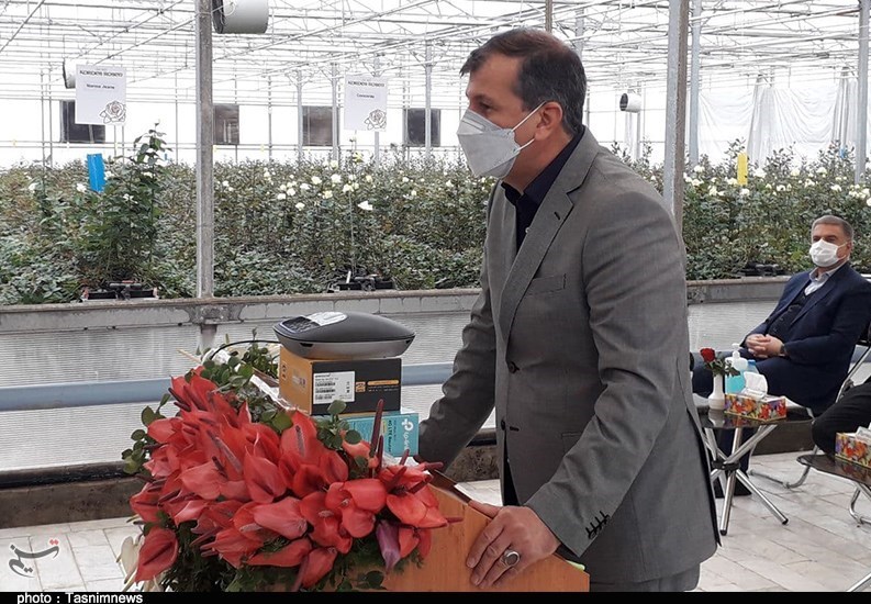 معاون وزیر جهاد کشاورزی در قزوین: باغات میوه برای جلوگیری از سرمازدگی سایبان‌دار می‌شوند