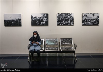 سی و نهمین جشنواره فیلم فجر در پردیس سینمایی ملت