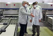 معاونت استانداری تهران از کارخانه تلاونگ بازدید کرد