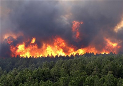  وقوع آتش‌سوزی در ۱۲۷۹ هکتار از مناطق چهارگانه محیط زیست تا اول خرداد 