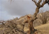 بحران آب در ایران| قلب تپنده استان اصفهان از حرکت ایستاد / زاینده‌رود خشک شد، تولید در نطنز از حرکت ایستاد