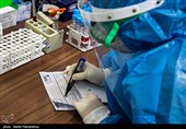 Mutated Coronavirus Circulating in SW Iran