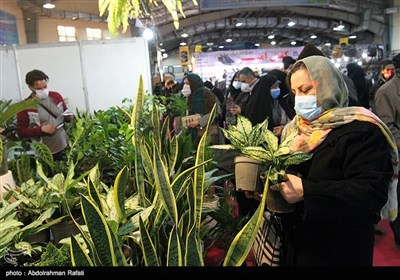 بیستمین نمایشگاه گل و گیاه در همدان