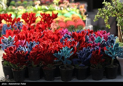 بیستمین نمایشگاه گل و گیاه در همدان