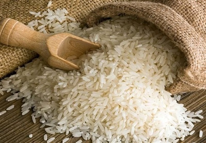 تولید برنج کشور 18.5 درصد به دلیل خشکسالی کاهش یافت