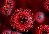 کرونای انگلیسی به یزد هم رسید / شناسایی نخستین بیمار مبتلا به ویروس جهش یافته