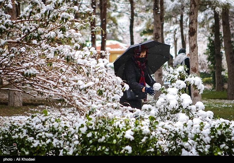 بارش‌های اخیر در جبران خشکسالی‌های چهارمحال و بختیاری تأثیر خاصی نداشت