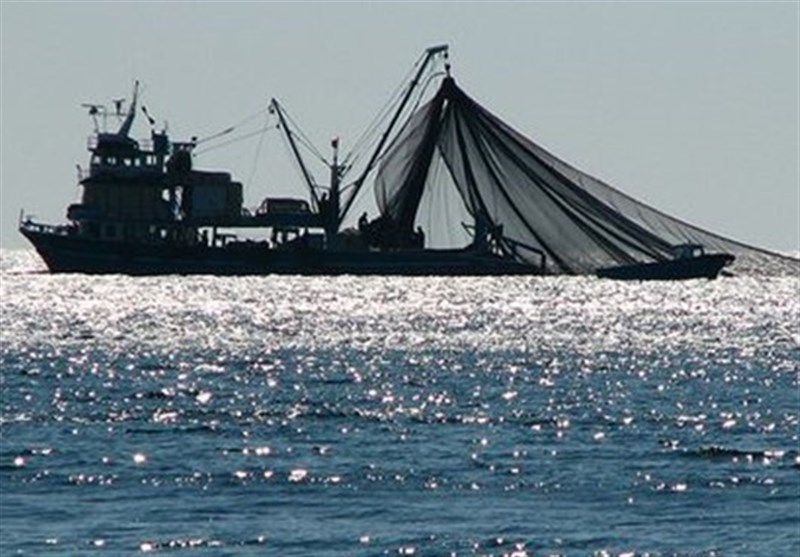 درخواست جامعه صیادان جنوب برای توقف دائمی صید ترال صنعتی