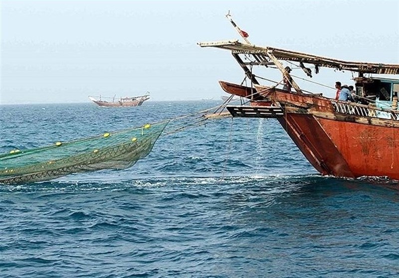 شناورها در صید غیرمجاز ترال در خلیج‌ فارس استان بوشهر توقیف می‌شوند/ آغاز طرح دریابست
