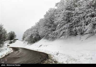 طبیعت برفی مسیر سیاهکل به دیلمان