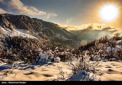 طبیعت برفی مسیر سیاهکل به دیلمان