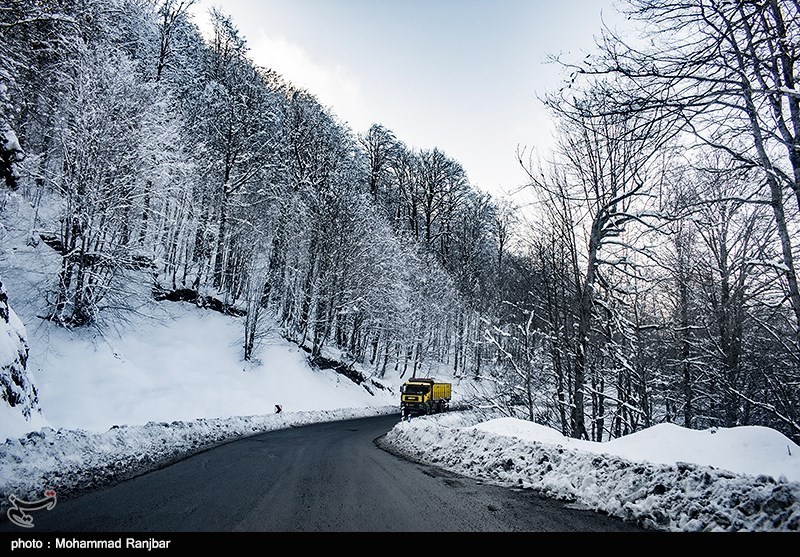هواشناسی ایران 99/12/14| برف و باران کشور را فرا می‌گیرد