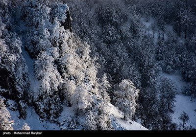 طبیعت برفی مسیر سیاهکل به دیلمان