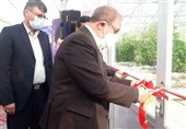 26 هکتار گلخانه در استان گلستان توسط معاون اول رئیس جمهور افتتاح شد